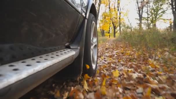 View Front Wheel Black Car Driving Park Road Yellow Leaves — Stock Video