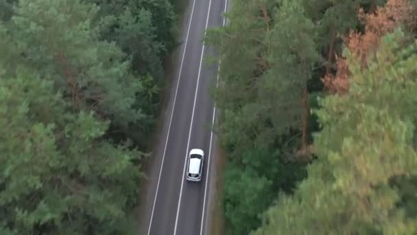 Pohled Shora Bílé Auto Jedoucí Silnici Zeleném Lese Autem Venkovské — Stock video