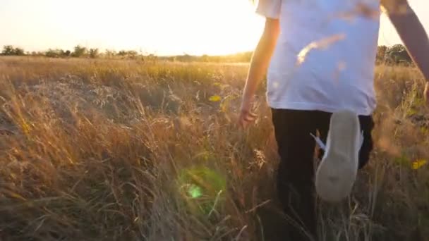 Sledujte Roztomilé Malé Dítě Jogging Přes Trávníku Pole Západem Slunce — Stock video