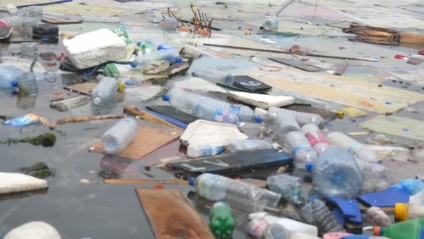 Miljöförstöring Plastflaskor Påsar Skräp Floden Sjön Skräp Och Föroreningar Som — Stockvideo