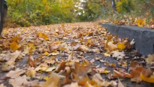 Černý Suv Jede Rychle Prázdné Silnici Přes Žlutý Listí Parku — Stock video