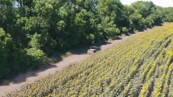Follow Black Pickup Truck Fast Rides Rural Road Aerial Shot — Stock Video