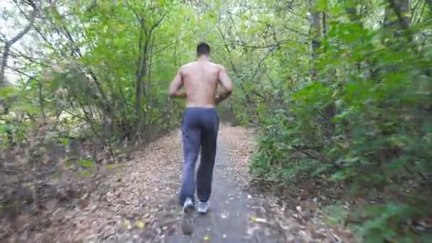 Desportista Muscular Irreconhecível Correndo Longo Trilha Início Floresta Outono Jovem — Vídeo de Stock