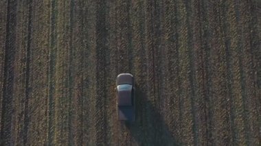 Sonbaharda tarlaların arasında uçan bir araba. Hasattan sonra tarladan geçen bir kamyonet. Otlakta giden off-road aracı. Tarım çiftçiliği kavramı. Hava görüntüsü.