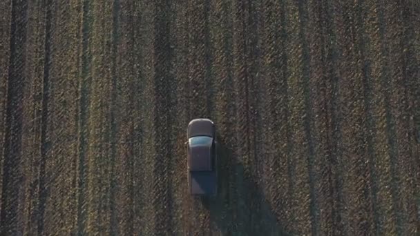 Flying Car Moving Farmland Autumn Pickup Truck Driving Plowed Field — Stock Video