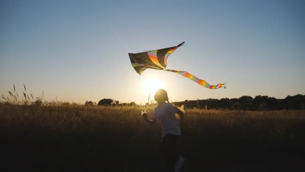 日落时分 一个快乐的小女孩带着彩虹风筝在乡间小路上慢跑 无忧无虑的孩子在草地附近的小径上玩耍玩具 可爱的孩子 玩大自然 享受自由 — 图库视频影像