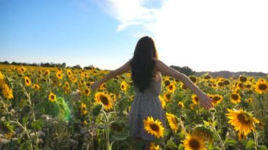 Çiçek açan ve el kaldıran genç ve ilham verici kız. Özgürlüğün tadını çıkaran kadın mı yoksa güneşli yaz günü mü? Arka planda manzaralı kırsal alan. Açık hava eğlence konsepti. Doli.
