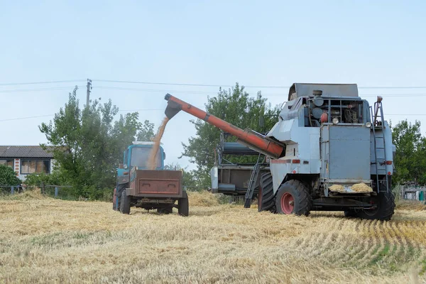 Agricultural Machinery Collects Grain Wheat Field Concept Farming Sowing Ukraine — Stock Photo, Image