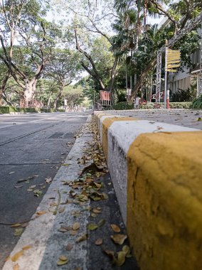 Kaldırımlar boyunca park edebilen sarı ve beyaz trafik çizgileri.