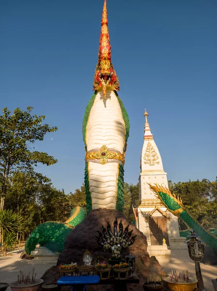 Ιερό Πράγμα Βασιλιάς Της Nagas Στο Σπήλαιο Naga Στην Ταϊλάνδη — Φωτογραφία Αρχείου