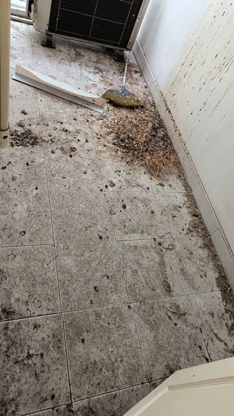 Binanın fayanslı balkon zeminine güvercin dışkısı bulaşmış. Şehir binasındaki kuş dışkısından kaynaklanan bir hastalık..