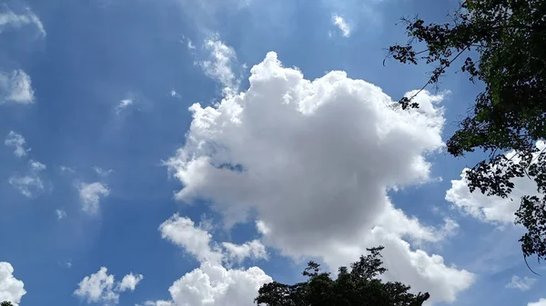 Cielo Nubes Árboles Hojas Hermoso Fondo Diurno —  Fotos de Stock