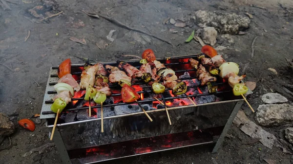 Espetos Churrasco Kebabs Carne Com Legumes Grelha Flamejante Comida Deliciosa — Fotografia de Stock