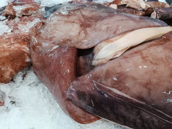 Farina Gigante Calamari Viola Sul Ghiaccio Vendita Sul Mercato — Foto Stock