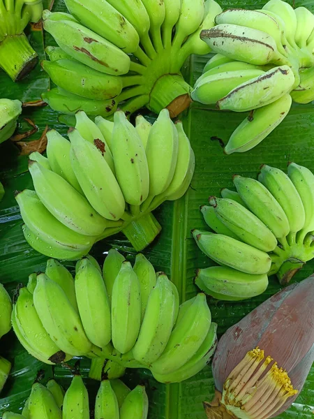 Banana Flower Banana Blossom Banana Leaves — Zdjęcie stockowe