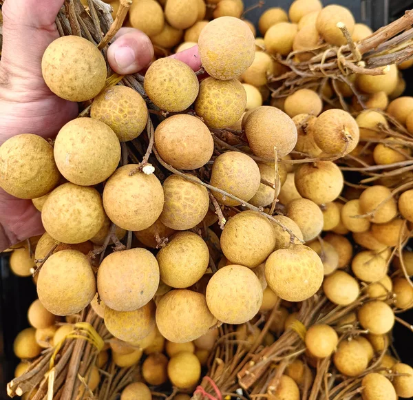 Longan Dimocarpus Longan Fruta Tailandesa Fresca —  Fotos de Stock