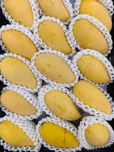 Pile Yellow Ripe Mango Sweet Mango Thin Skin Fresh Ripe — Φωτογραφία Αρχείου
