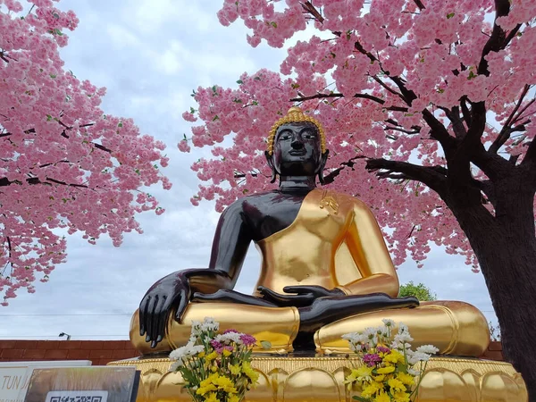 Buddha Statue Gold Black Texture Pink Leaf Background Sky — Foto de Stock