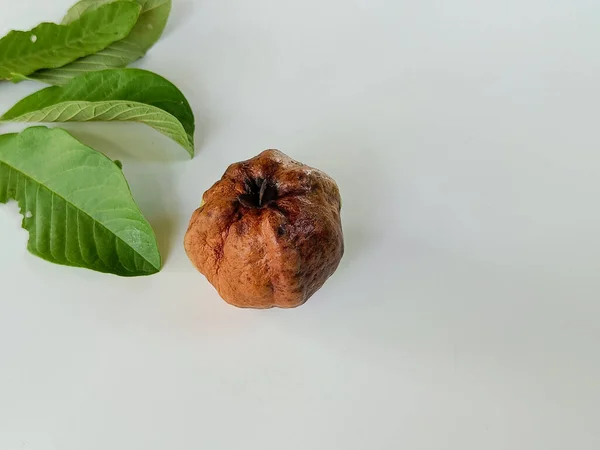 Σάπιο Φρούτο Γκουάβα Μολυσμένο Σάπιο Γκουάβα Δεν Μπορεί Καταναλωθεί — Φωτογραφία Αρχείου