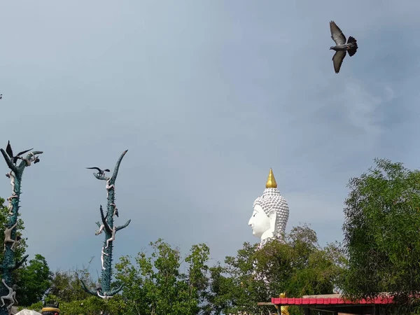 Vista Lateral Buda Blanca Jardín Hojas Verdes Pájaro Volador Sobre —  Fotos de Stock