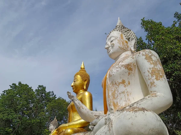 Landschaft Seitenansicht Weiß Und Gold Buddha Garten Des Baumes Grüne — Stockfoto