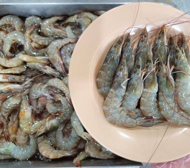 Pembe tabakta taze çiğ karidesi kapat..