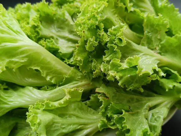 Lettuce Healthy Vegetables Close View Selected Focus — Foto Stock