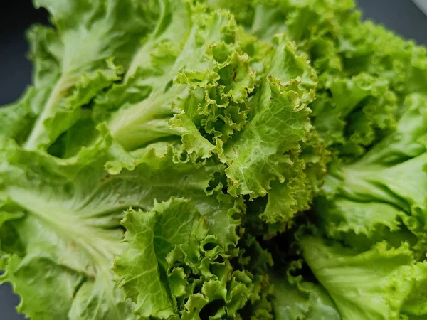 Saláta Fekete Háttérrel Egészséges Zöldségek Közelről — Stock Fotó