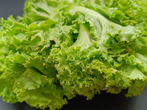 Saláta Fekete Háttérrel Oldalnézetből Kiválasztott Fókusz — Stock Fotó