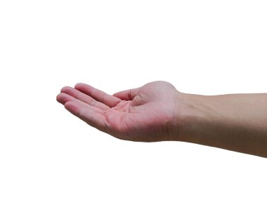 Hand open. Gesture isolated on white background with clipping path.