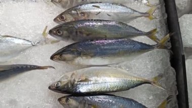Line up fresh mackerel fish on ice in market for Sale