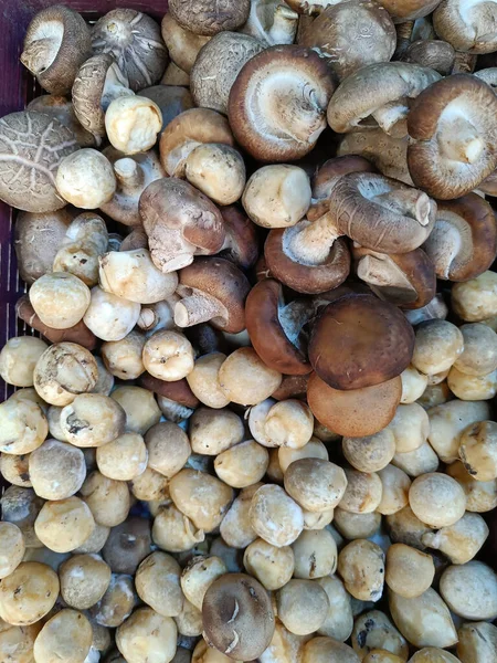 Fresh mushrooms on the farmers market. Food. Shiitake, straw mushroom