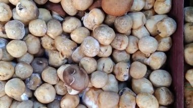 Fresh mushrooms on the farmers market. Food. Shiitake, straw mushroom
