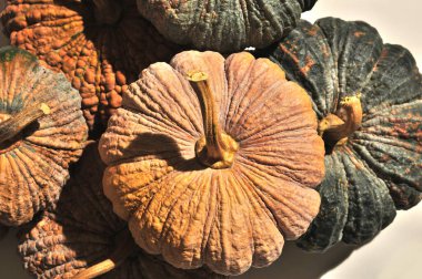 Balkabağı, balkabağı çeşitli renkte ve desenler bir arada dizilmiş, balkabağı arkaplanı