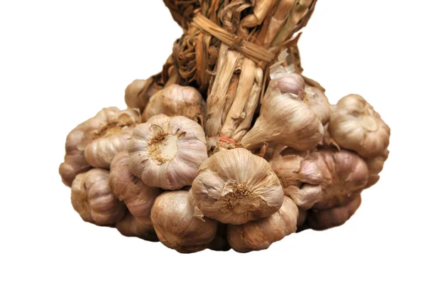 Bunch Garlic Isolated White Background Compound Bulb Isolated — Stockfoto