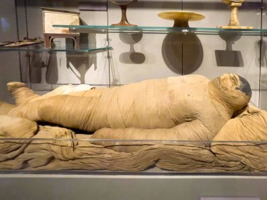 Torino 'daki Mısır müzesinin içi