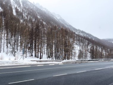 Kış mevsiminde ormanın ortasında boş bir yol.