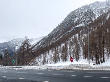 Kış mevsiminde ormanın ortasında boş bir yol.