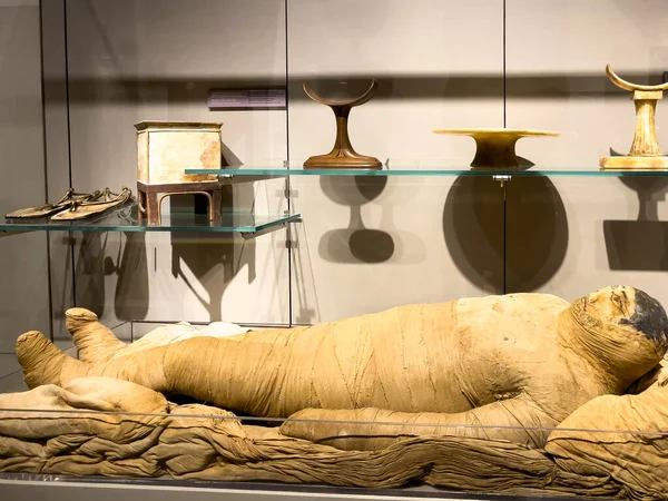 Torino 'daki Mısır müzesinin içi