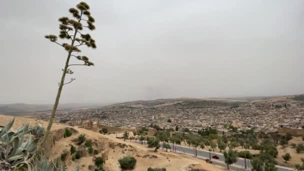 Panoramatický Výhled Starou Medinu Fezu — Stock video