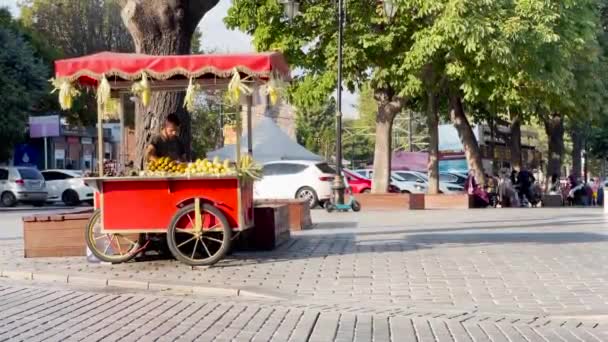 伊斯坦布尔Taksim广场附近街道上出售烤新鲜玉米的供应商 — 图库视频影像