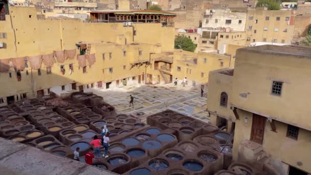 Chouara Conceria Nella Vecchia Medina Fes — Video Stock