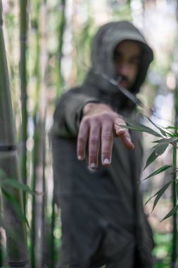 Fas 'ta halka açık bir bambu parkında poz veren Faslı bir adam.