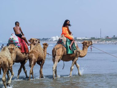 Çok az insan yaz tatillerinde deve sürüşünden zevk alır.