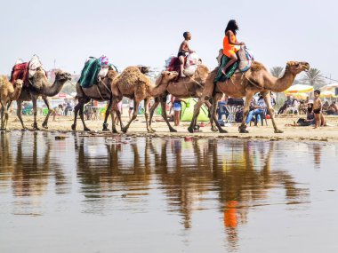 Çok az insan yaz tatillerinde deve sürüşünden zevk alır.