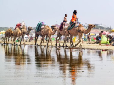 Çok az insan yaz tatillerinde deve sürüşünden zevk alır.