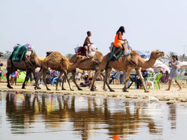 Çok az insan yaz tatillerinde deve sürüşünden zevk alır.