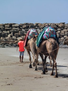 Kumsaldaki deve kervanı.