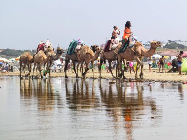 Çok az insan yaz tatillerinde deve sürüşünden zevk alır.
