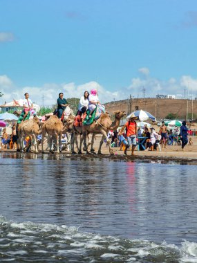Çok az insan yaz tatillerinde deve sürüşünden zevk alır.